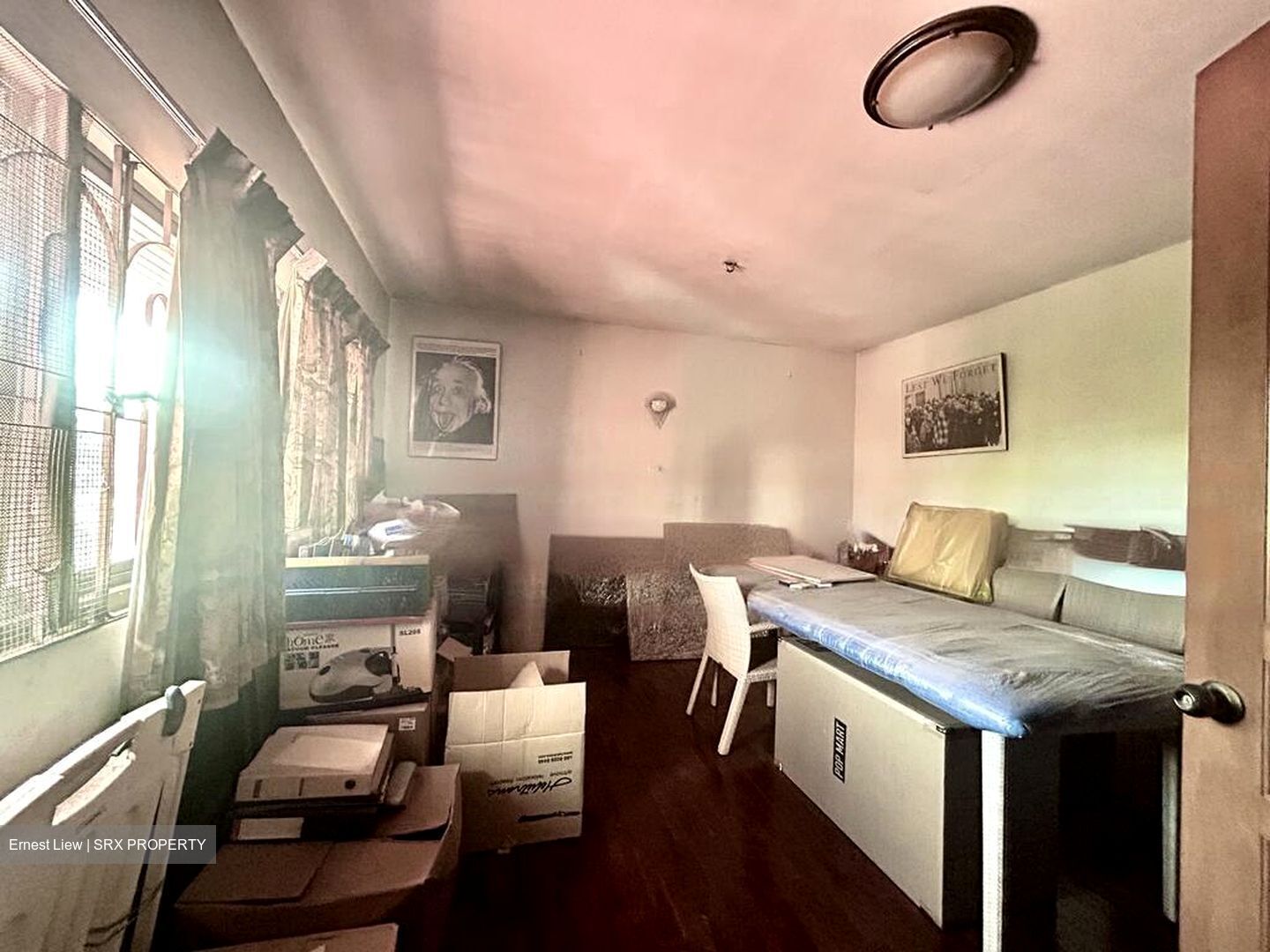 Mimosa Park (D28), Condominium #482543691